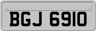 BGJ6910