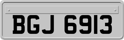 BGJ6913