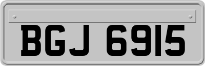 BGJ6915