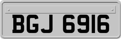 BGJ6916