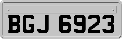 BGJ6923