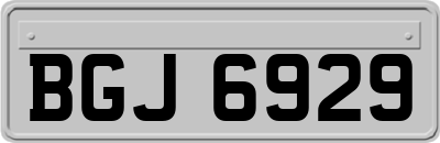 BGJ6929