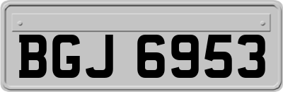 BGJ6953