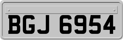 BGJ6954