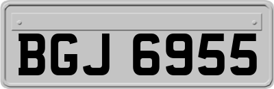 BGJ6955