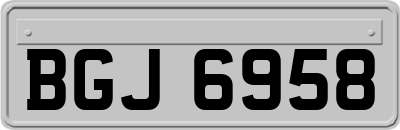 BGJ6958