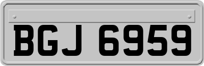 BGJ6959