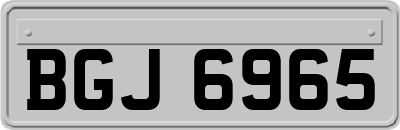 BGJ6965