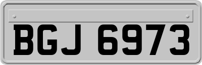 BGJ6973
