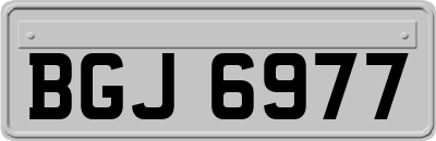 BGJ6977