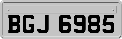 BGJ6985