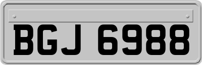 BGJ6988