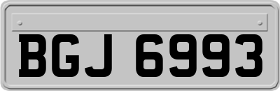BGJ6993