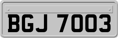 BGJ7003
