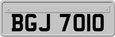 BGJ7010