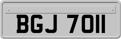 BGJ7011