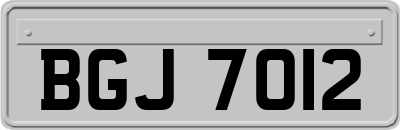 BGJ7012