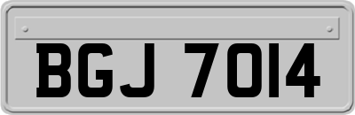 BGJ7014