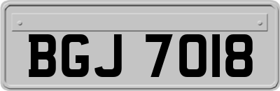 BGJ7018