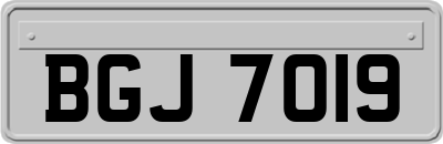 BGJ7019