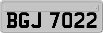 BGJ7022