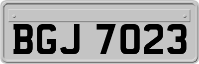 BGJ7023