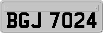 BGJ7024