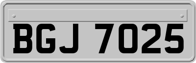BGJ7025