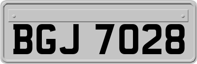 BGJ7028
