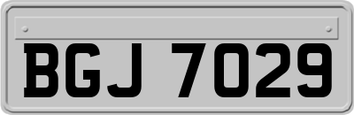 BGJ7029