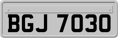 BGJ7030