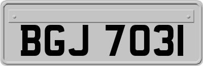 BGJ7031