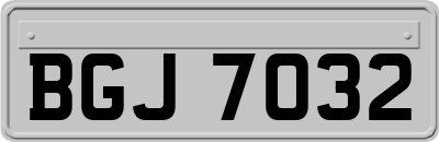 BGJ7032