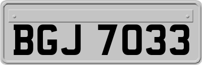 BGJ7033