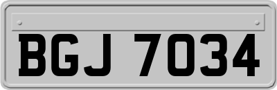 BGJ7034