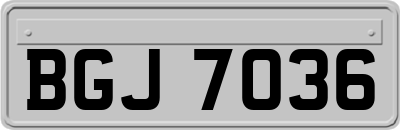 BGJ7036