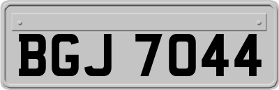 BGJ7044