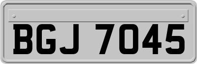 BGJ7045