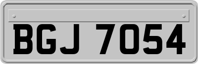 BGJ7054