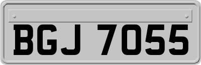 BGJ7055