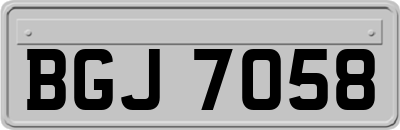 BGJ7058