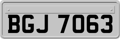 BGJ7063