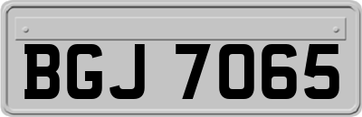 BGJ7065