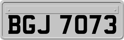 BGJ7073