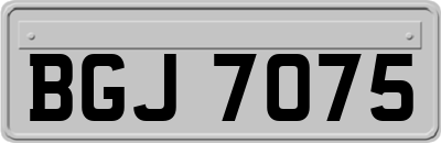 BGJ7075