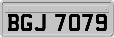 BGJ7079