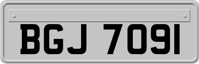 BGJ7091