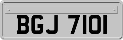 BGJ7101