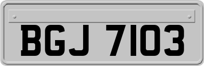 BGJ7103