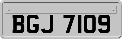 BGJ7109